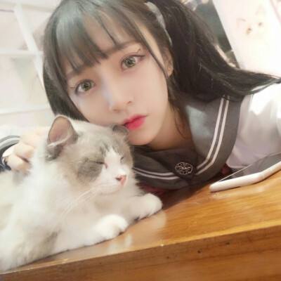 萌娘梦幻季内购破解游戏下载